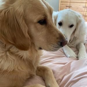 Meet your Posher, Collette